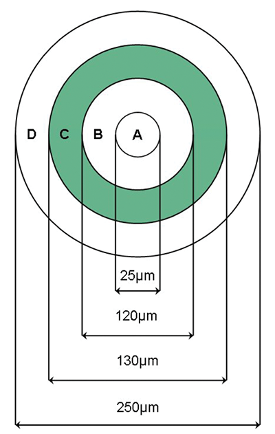 光纖連接器端面檢視清潔指南